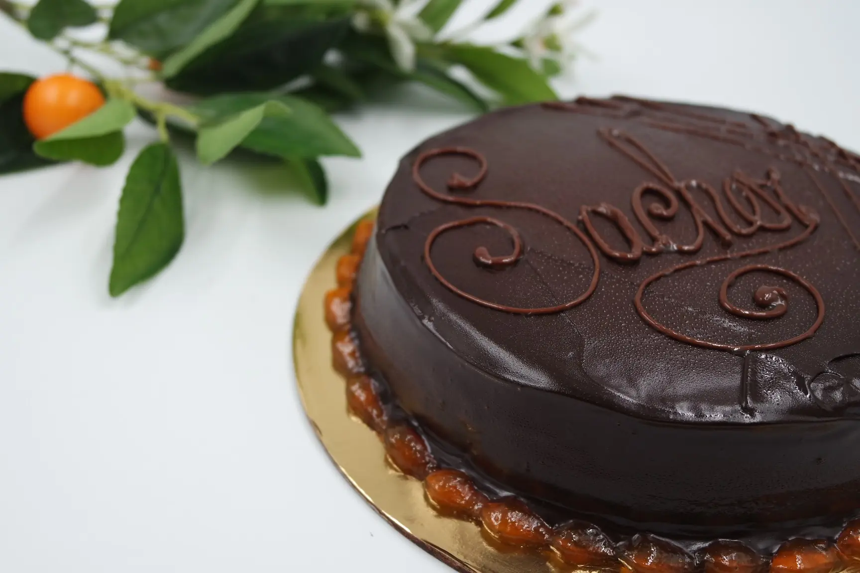 sacher
