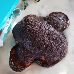 Colomba al cioccolato